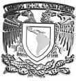 unam4.jpg